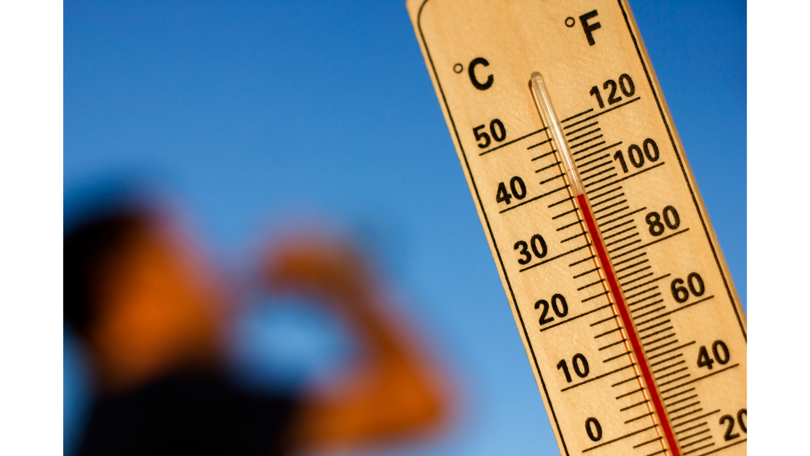 500+ Thermometer Pictures | Download Free Images on Unsplash