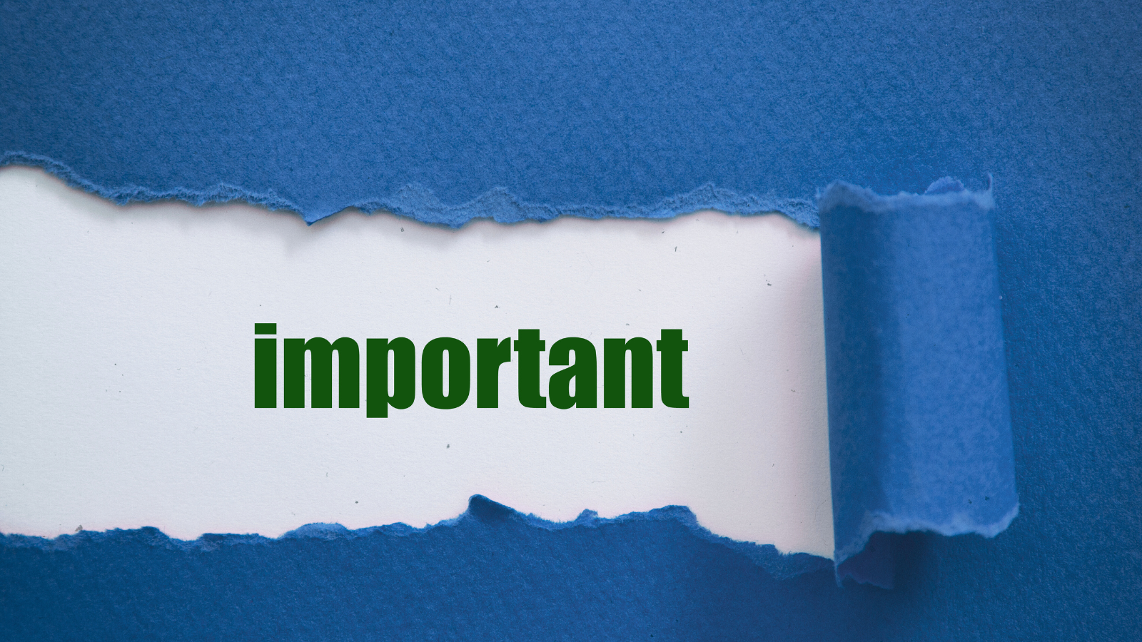 Newsletter images 46