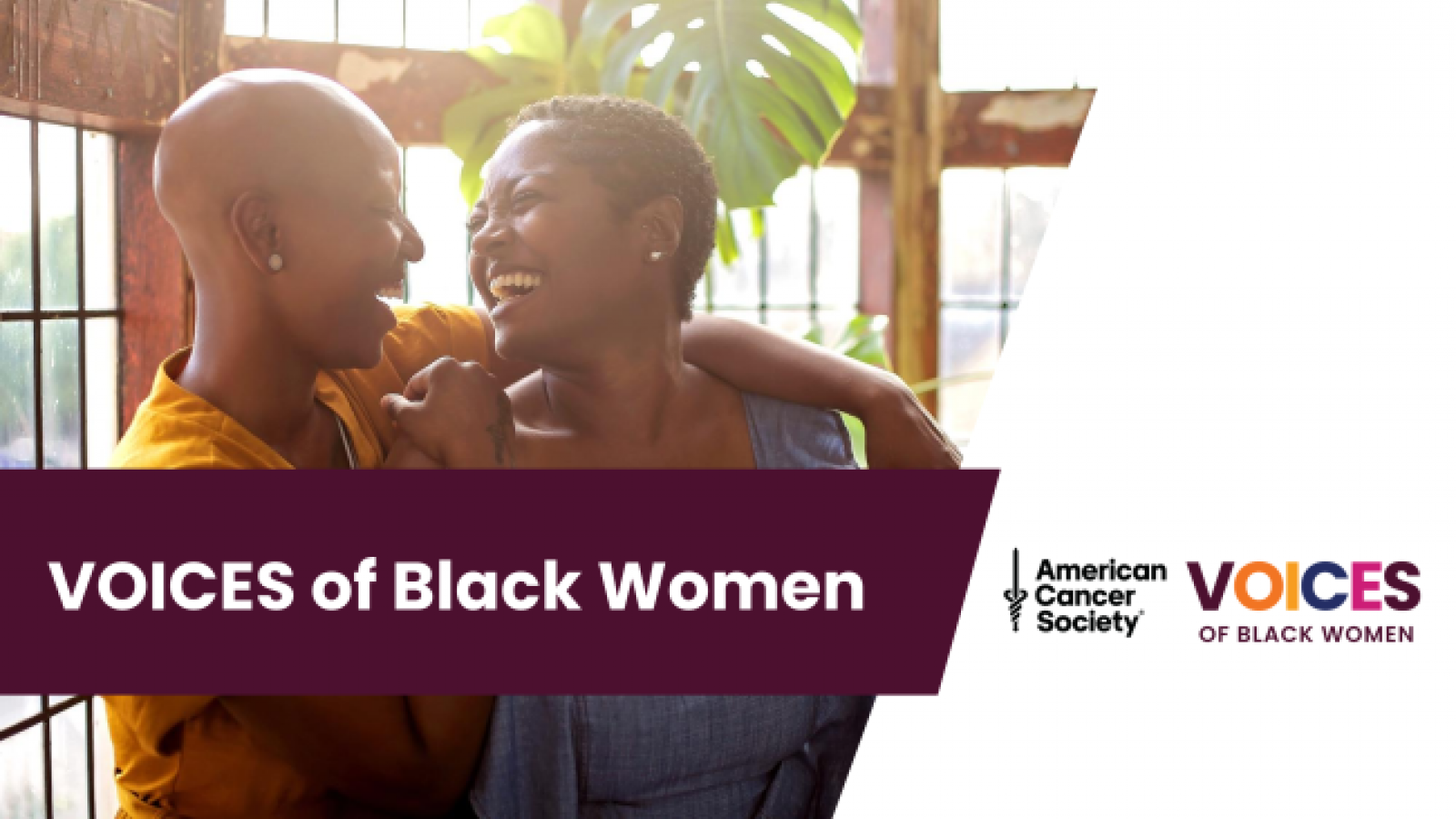 VOICES of Black Women Slide Deck for Presentations and Meetings PDF